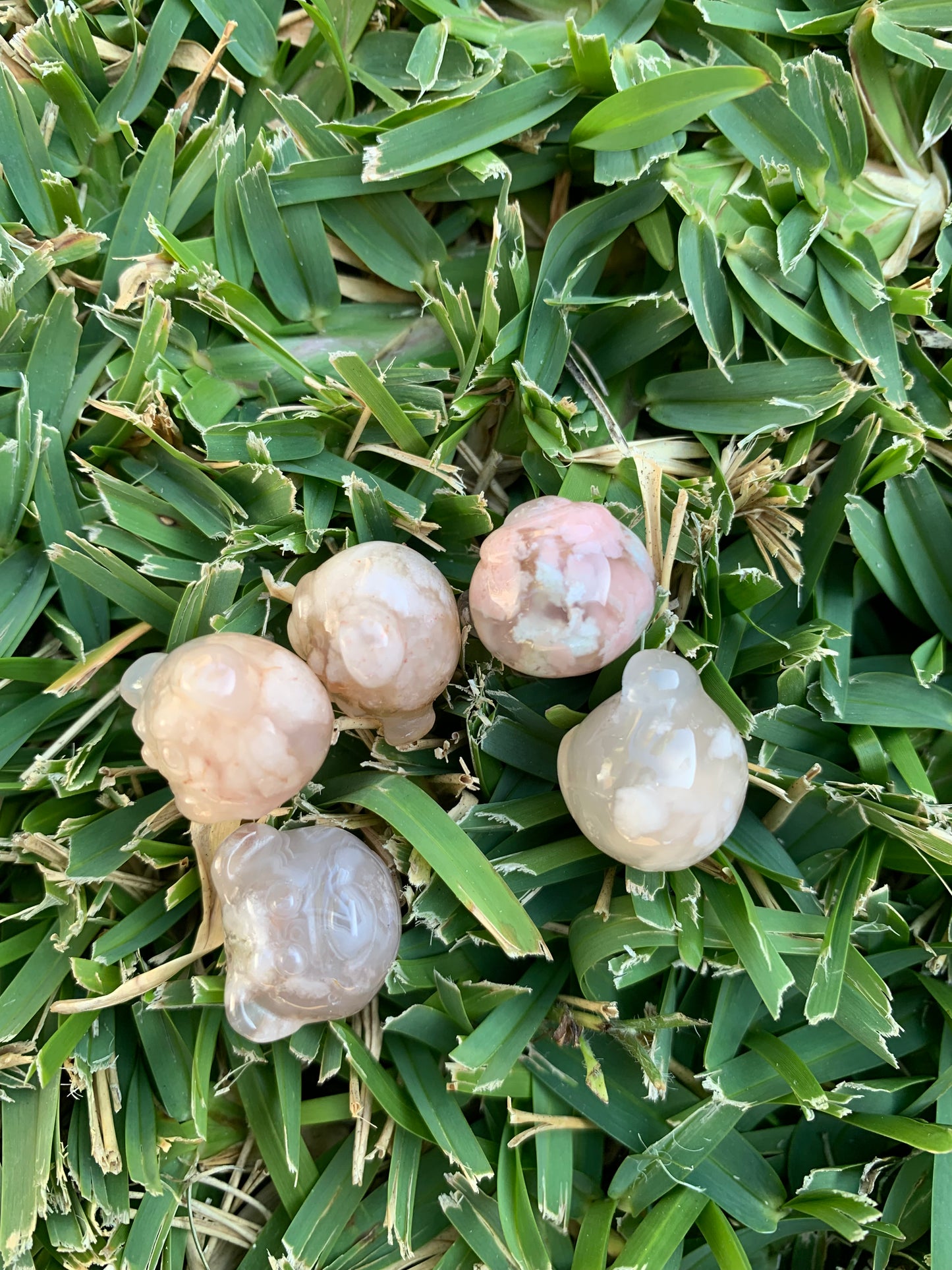 Mini Flower Agate Bear Head