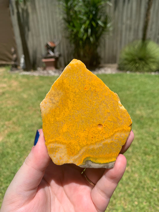 Bumblebee Jasper Slab