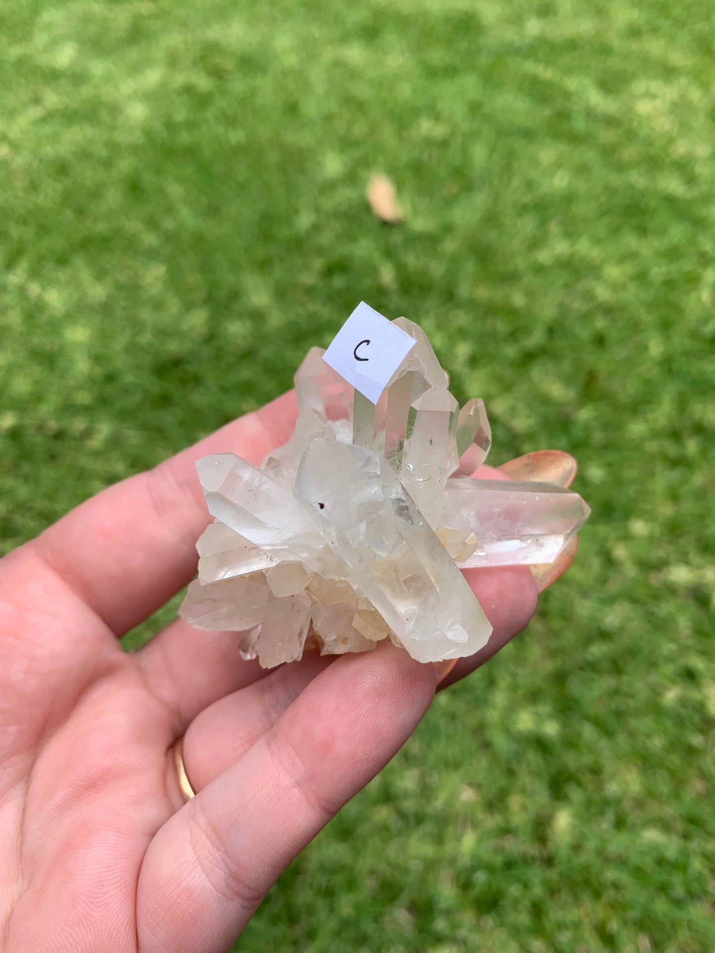 Clear Quartz Cluster