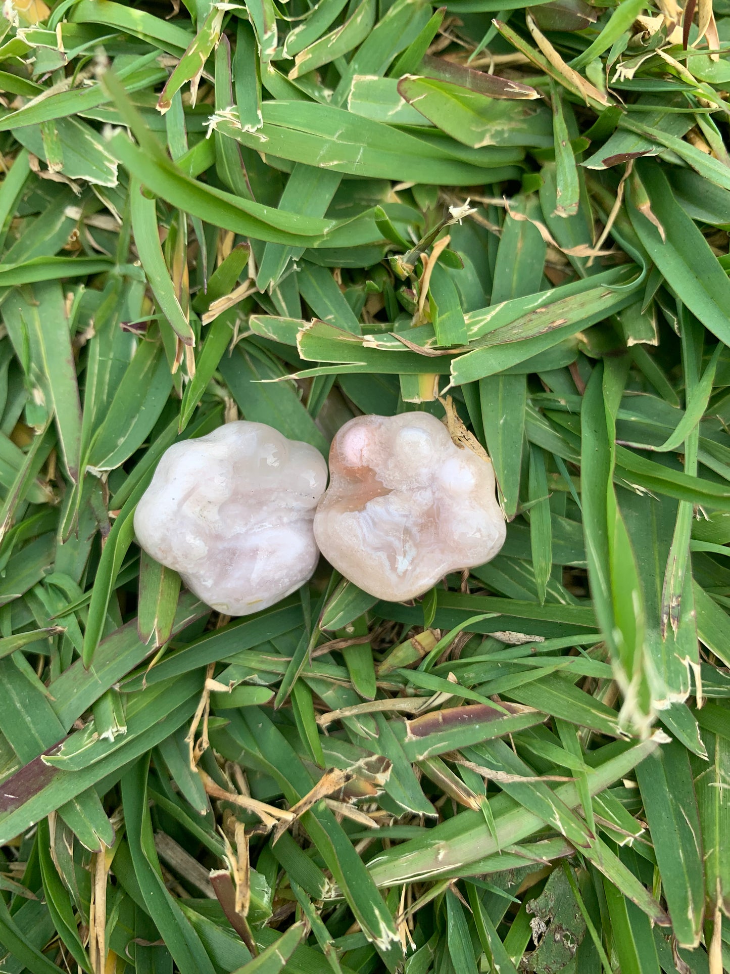 Mini Flower Agate Paw