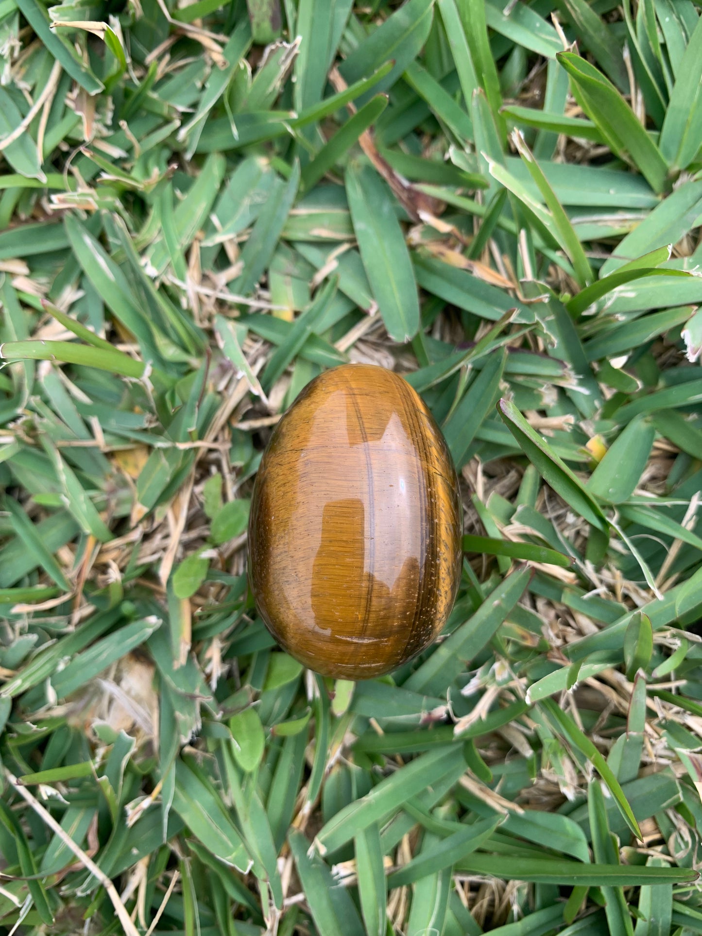 Large Tigers Eye Egg Pendant