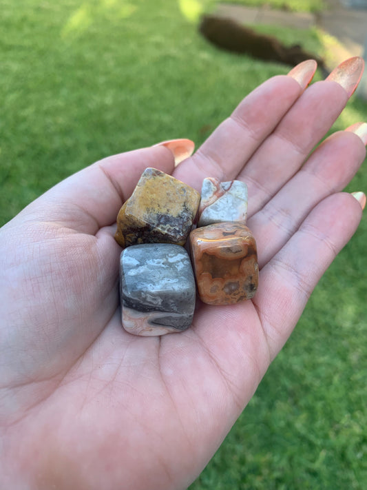 Crazy Lace Agate Cube