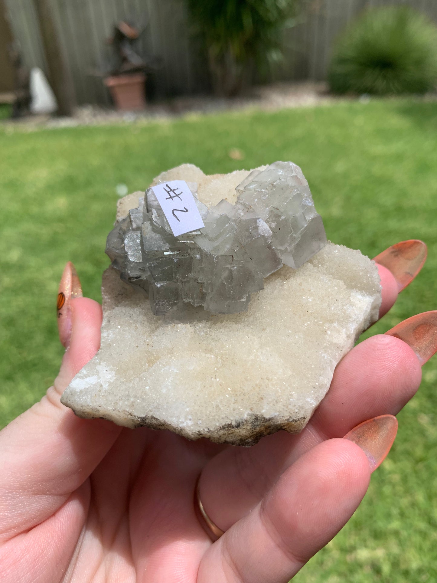 Cubic Fluorite Cluster #2