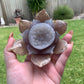 Druzy Lotus