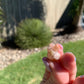 Mini Flower Agate Bunny