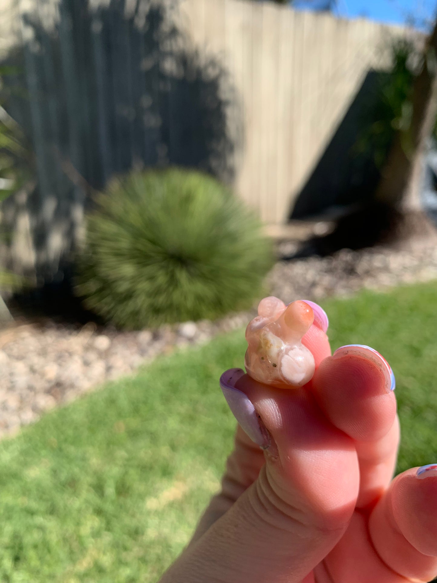 Mini Flower Agate Bunny