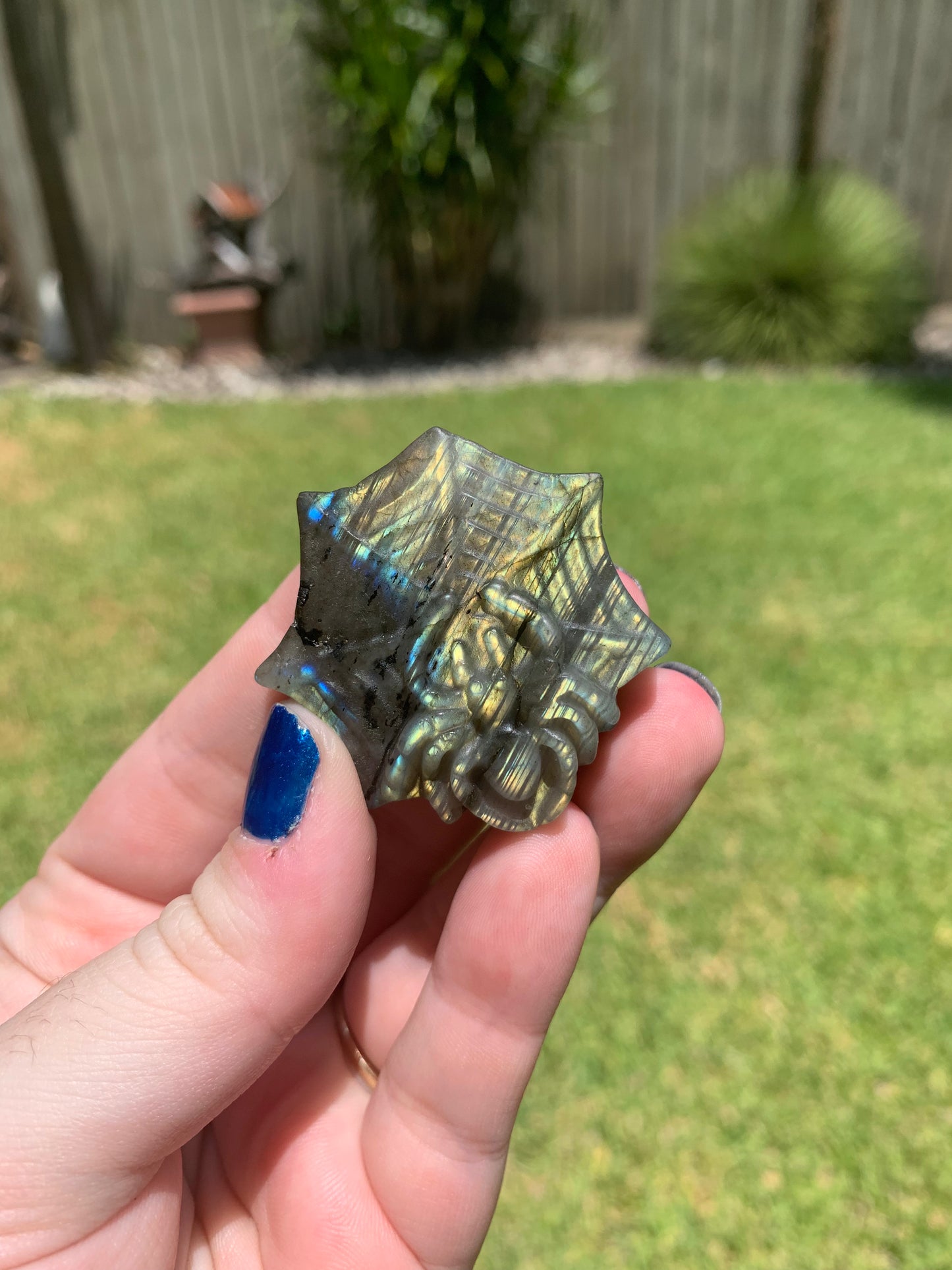 Spider Labradorite Carving