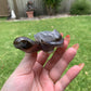 Druzy Agate Turtle