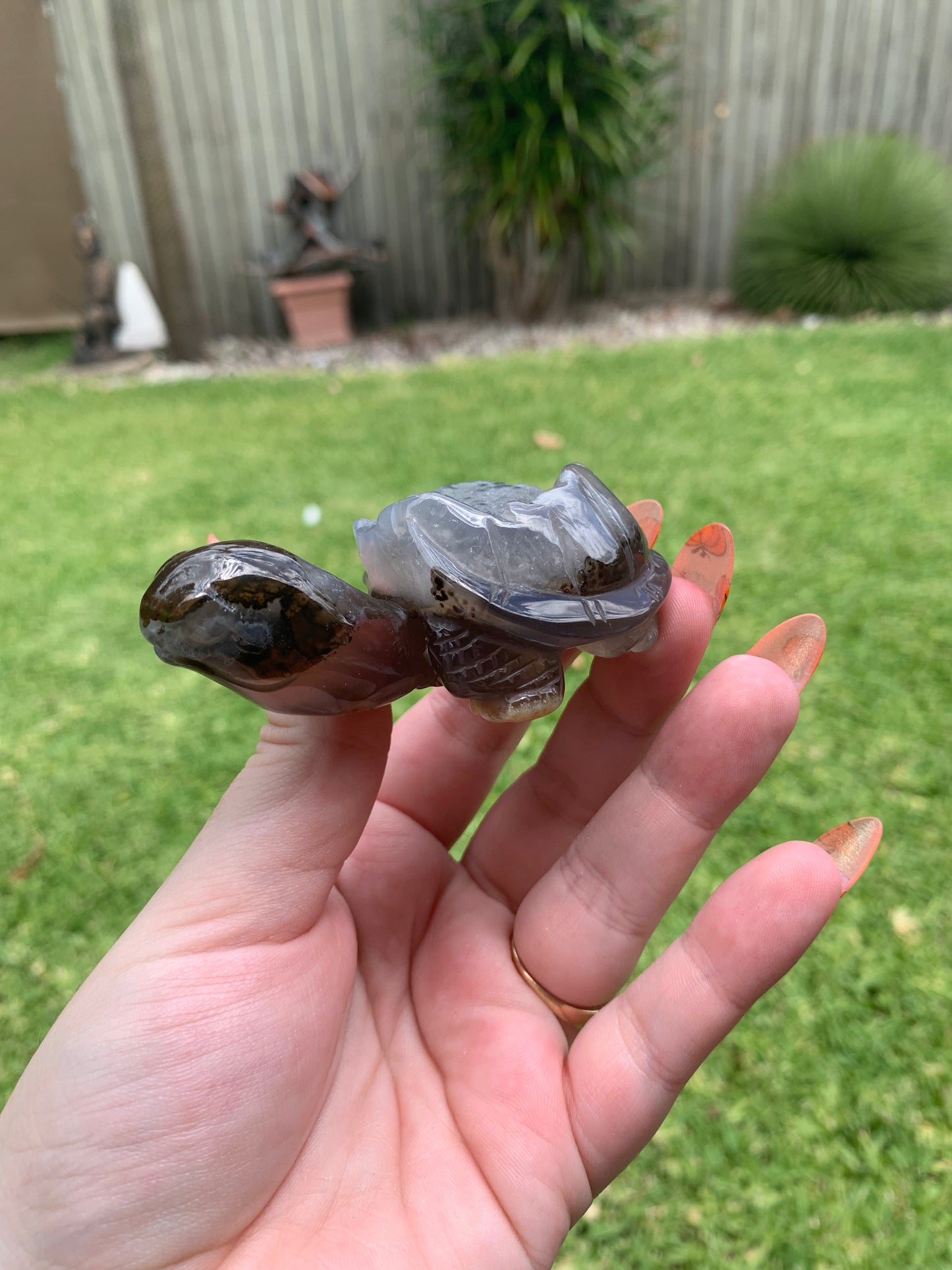 Druzy Agate Turtle