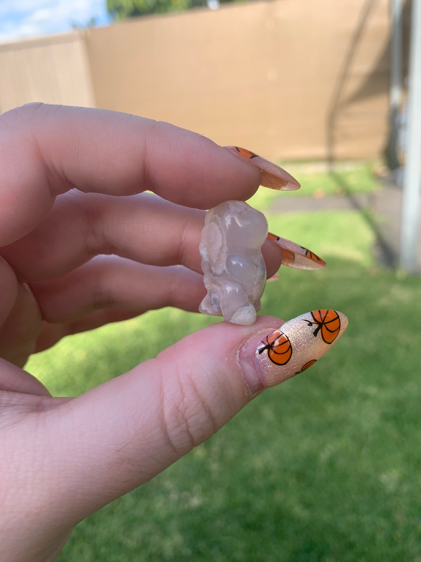 Mini Flower Agate Dinosaur