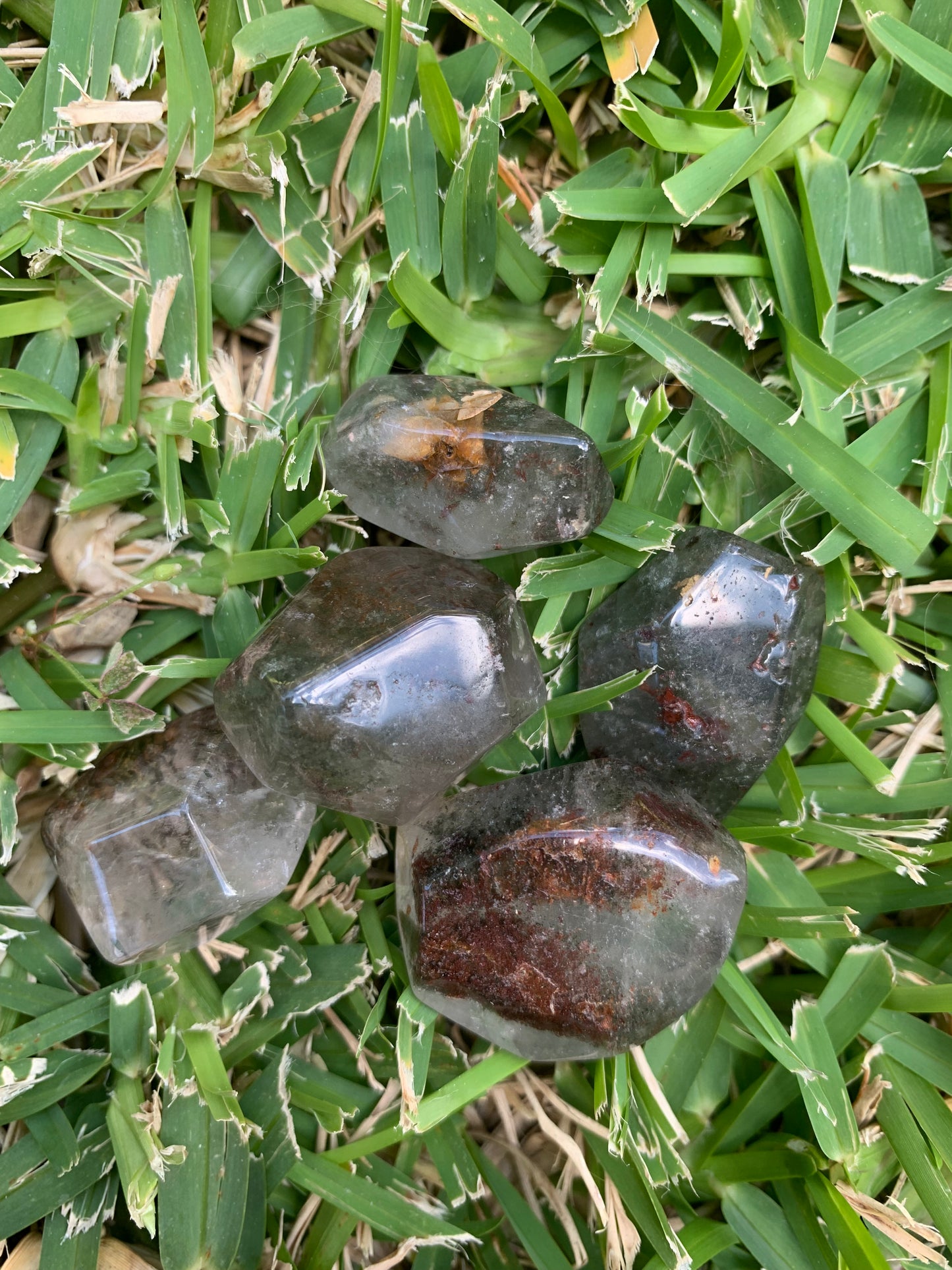 Garden Quartz Freeform Bundle