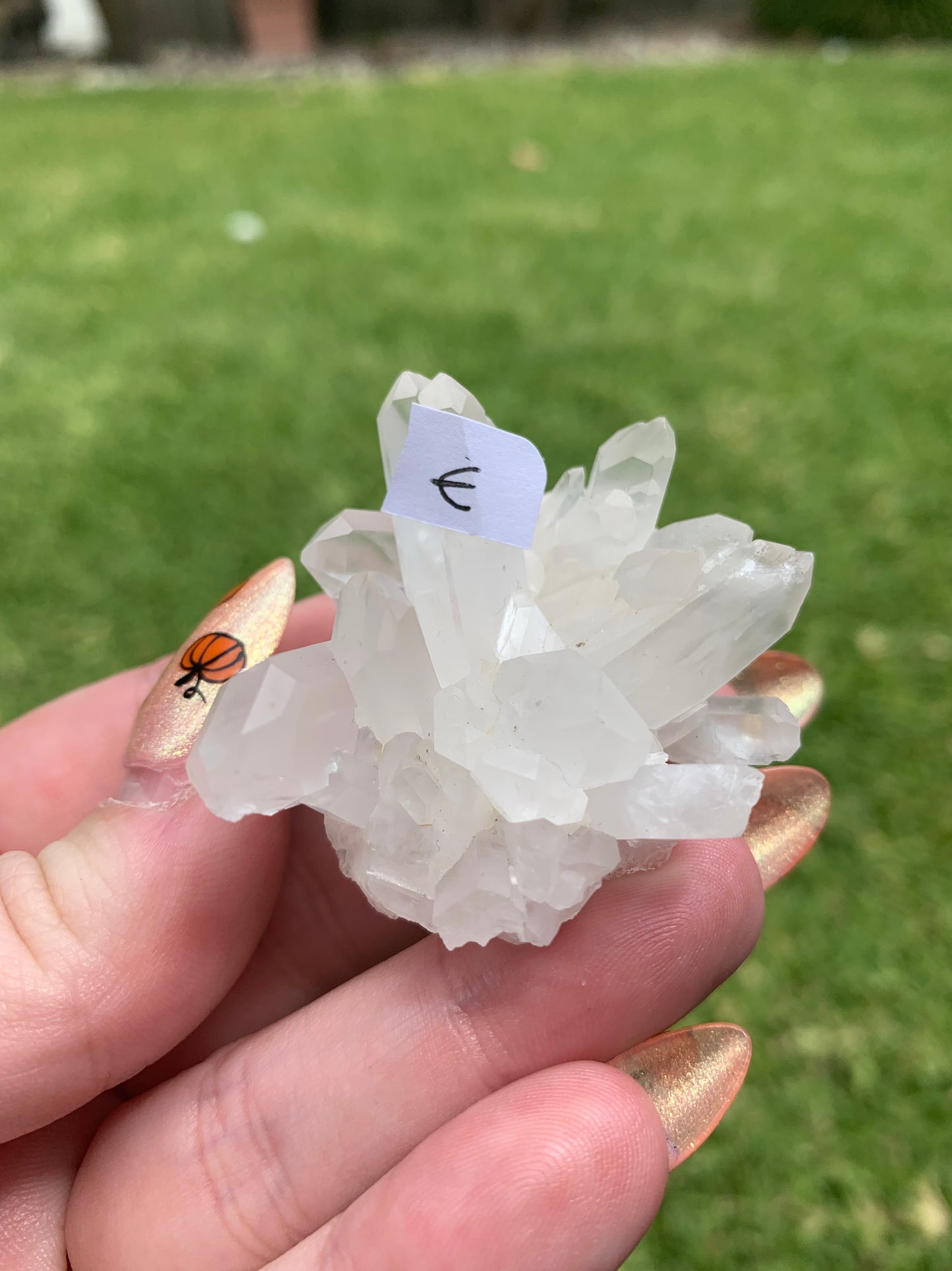 Clear Quartz Cluster