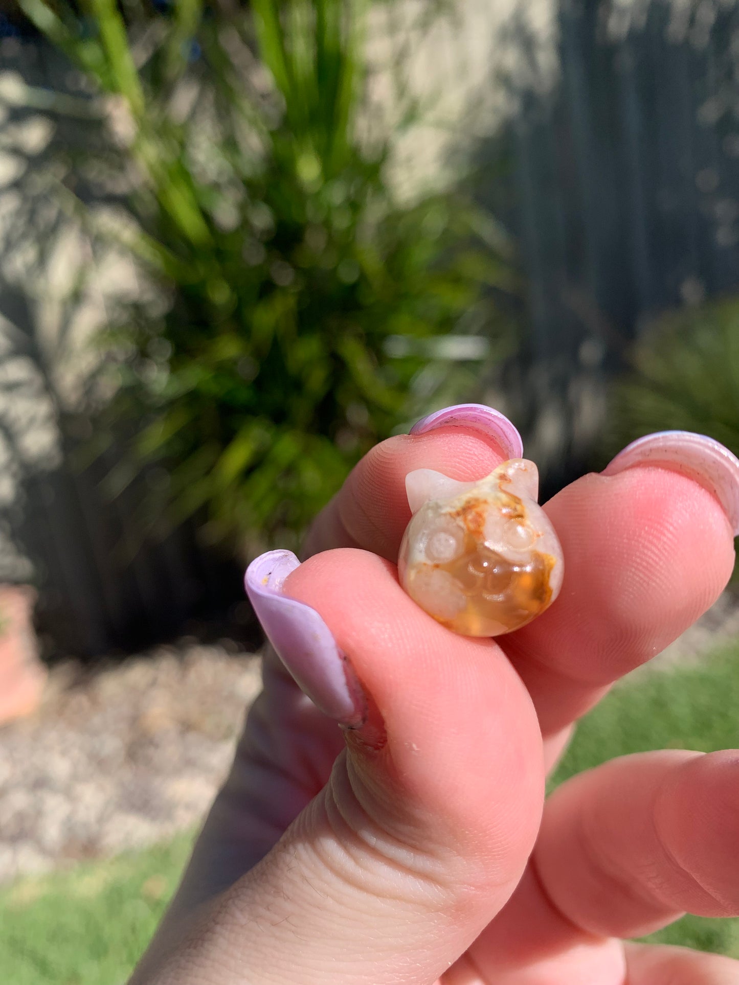 Mini Flower Agate Cat Head