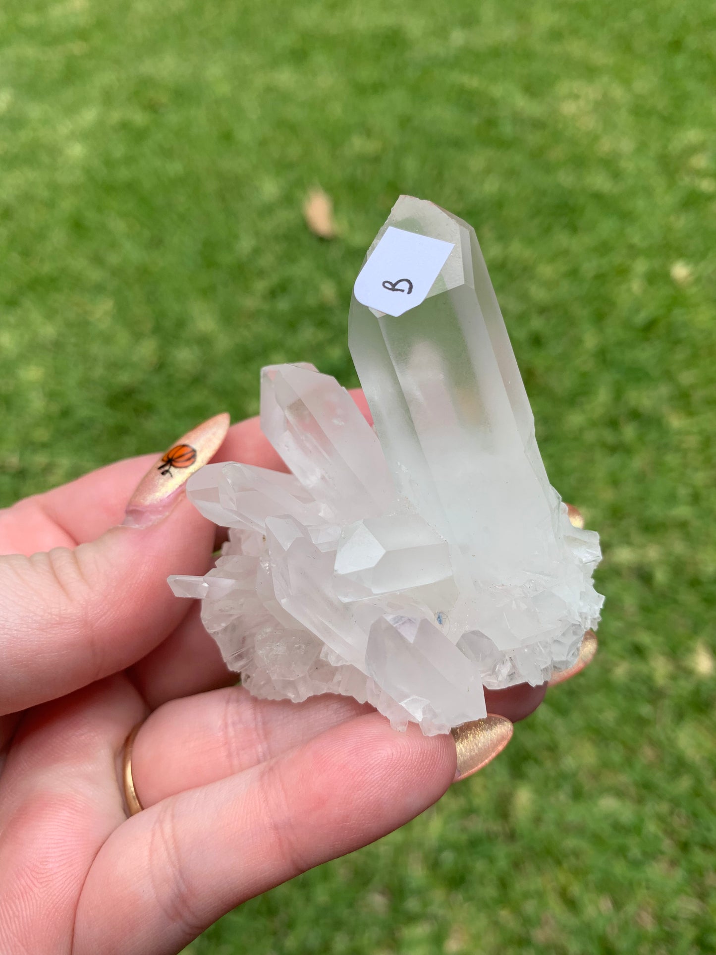 Clear Quartz Cluster