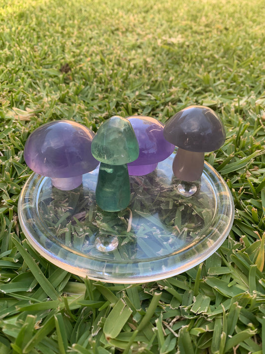 Fluorite Mushroom