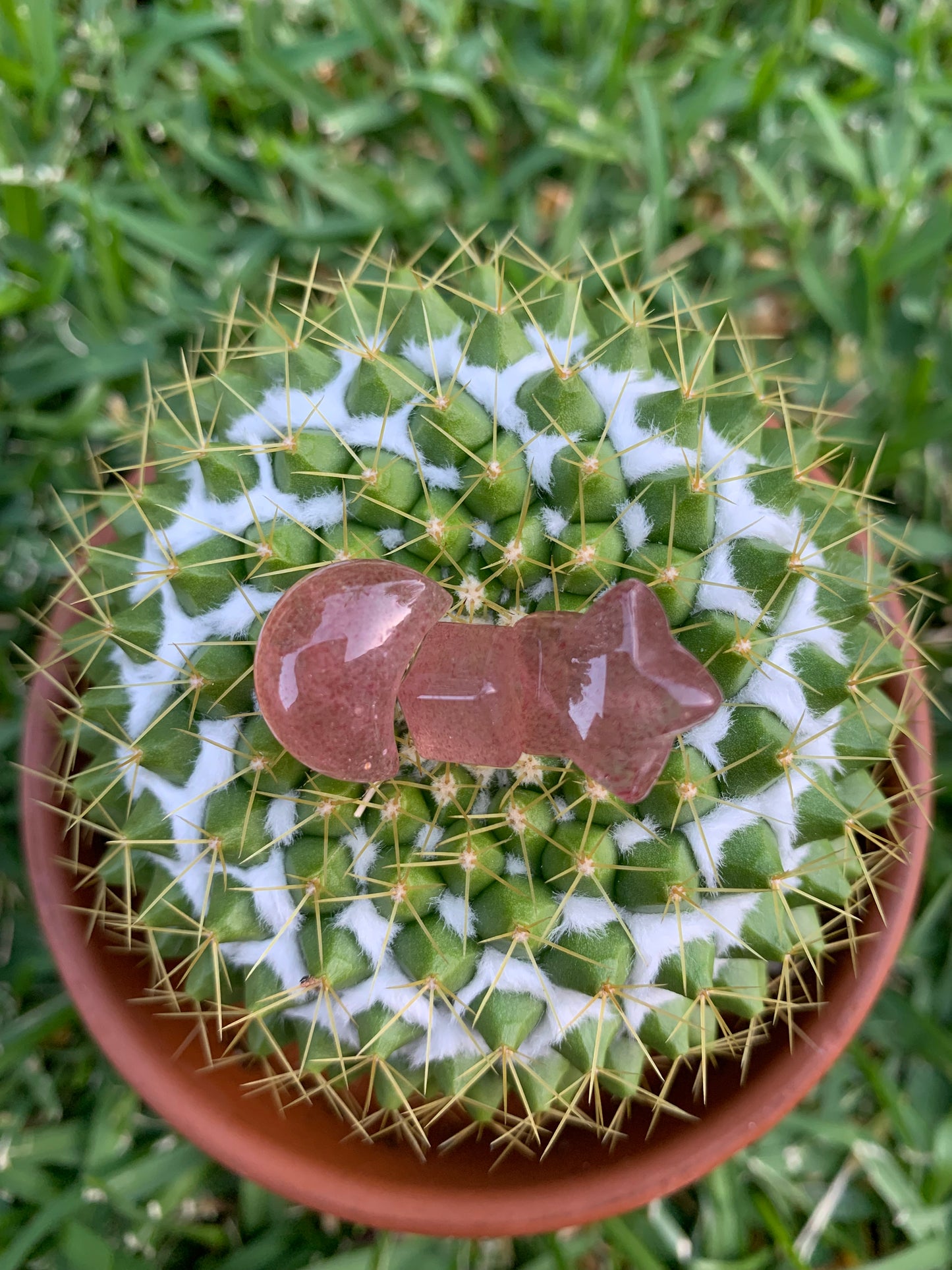 Strawberry Quartz Moon, Star, Cube