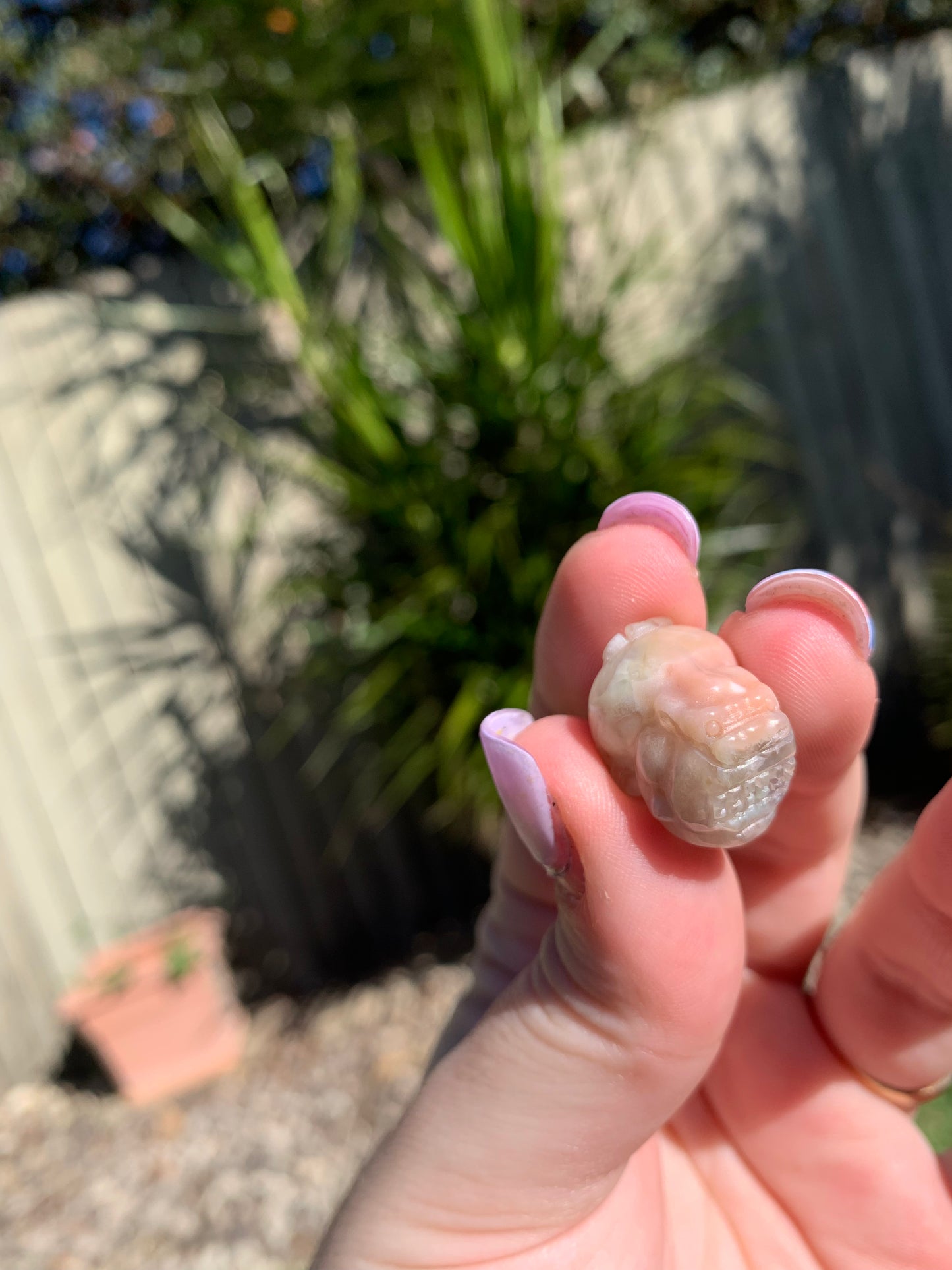 Mini Flower Agate Pixiu