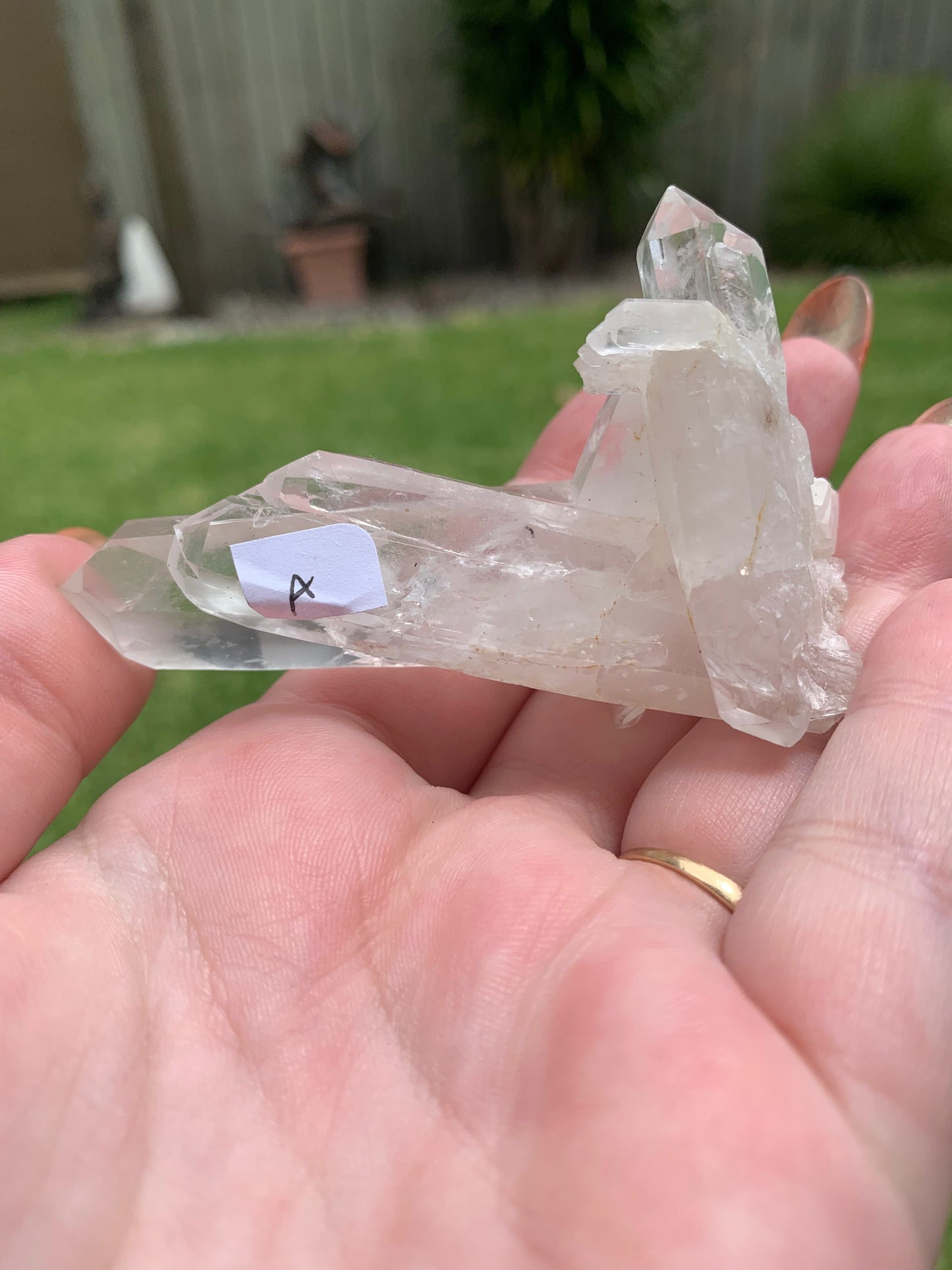 Clear Quartz Cluster