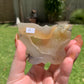 Druzy Agate Butterfly