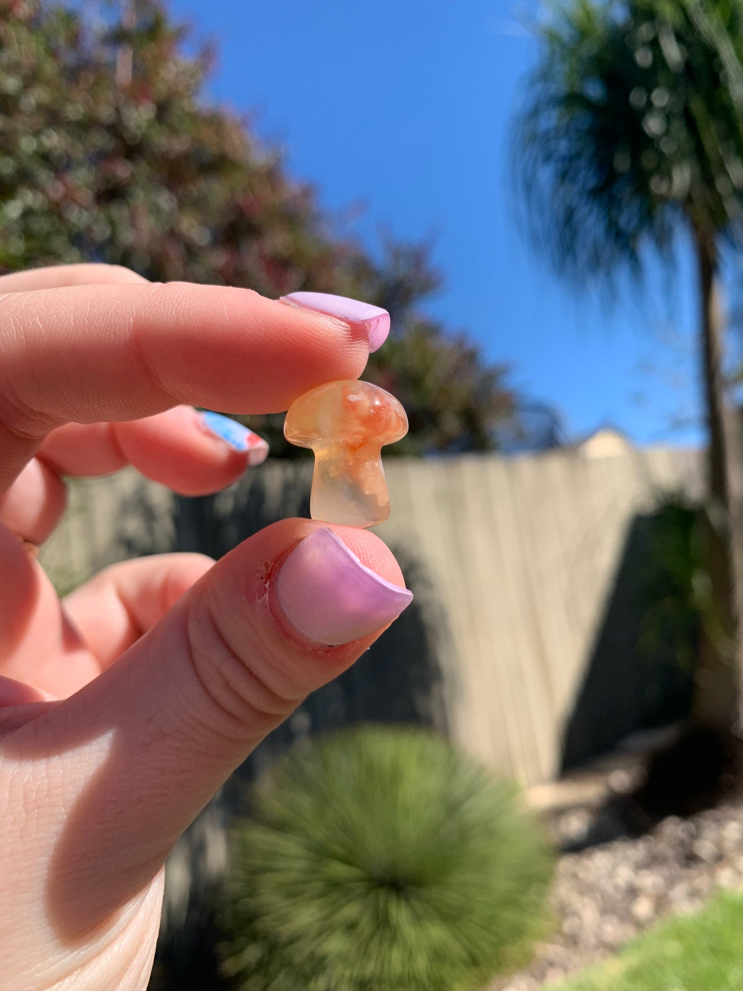 Mini Flower Agate Mushroom