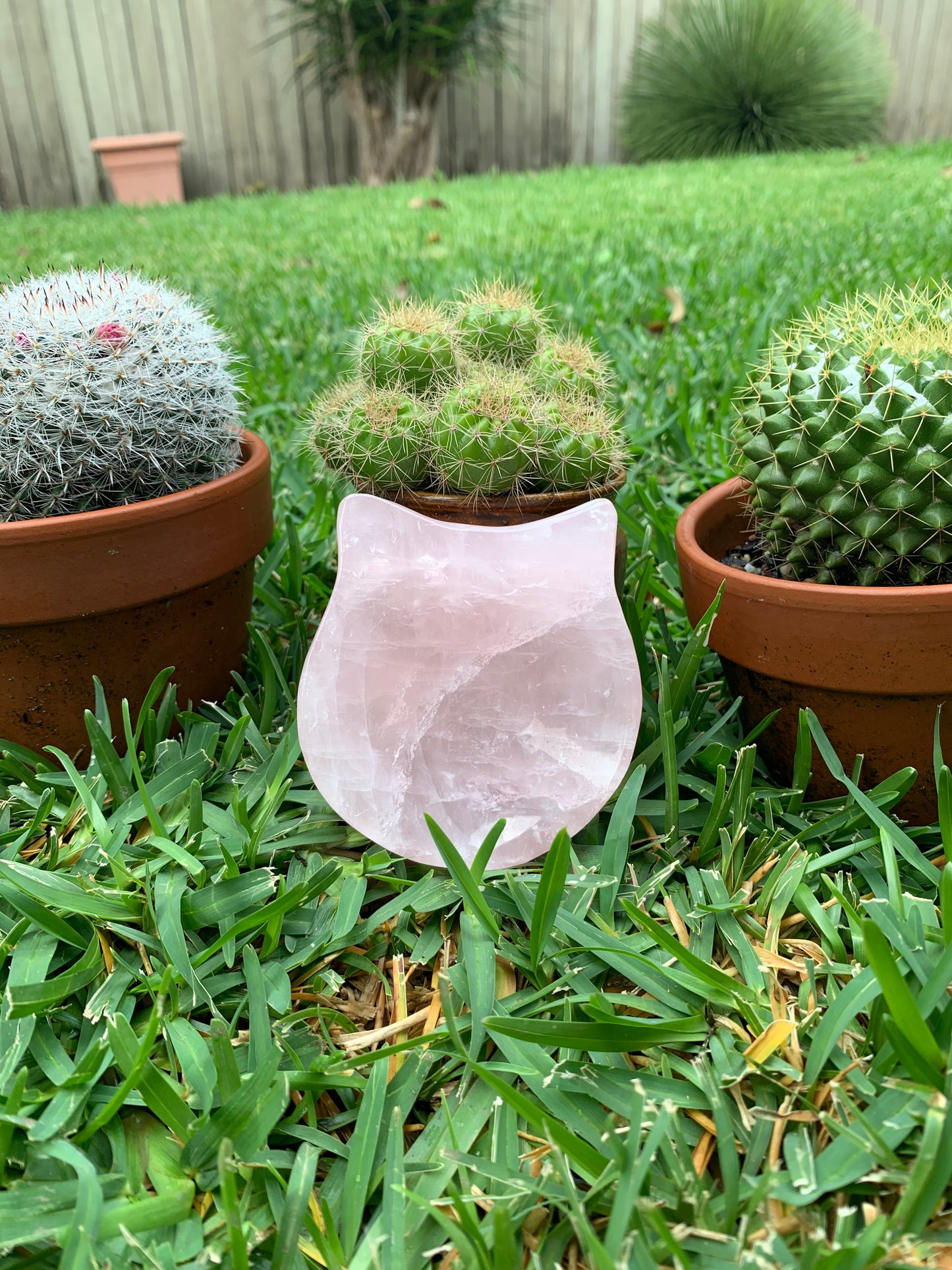 Rose Quartz Cat Bowl