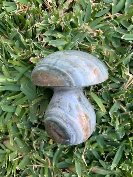 Ocean Jasper Mushroom