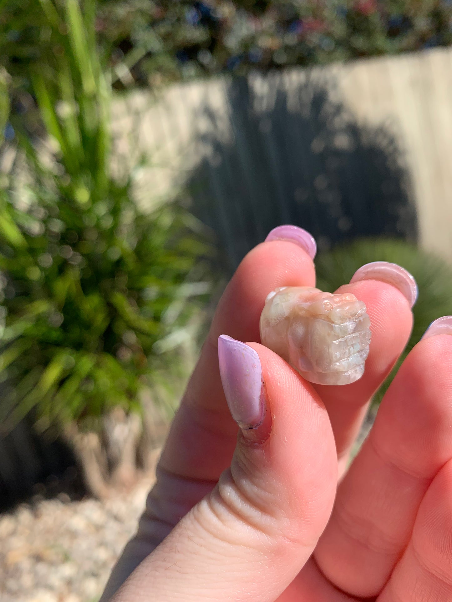 Mini Flower Agate Pixiu