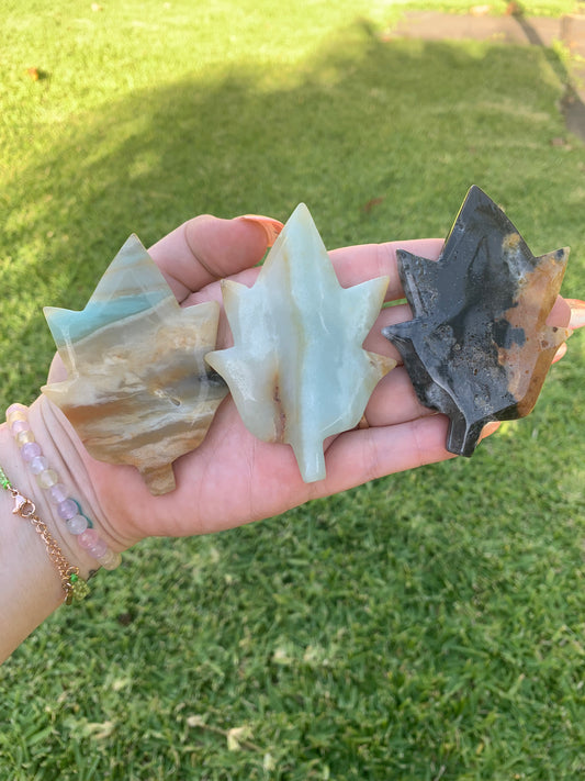 Caribbean Calcite Leaf