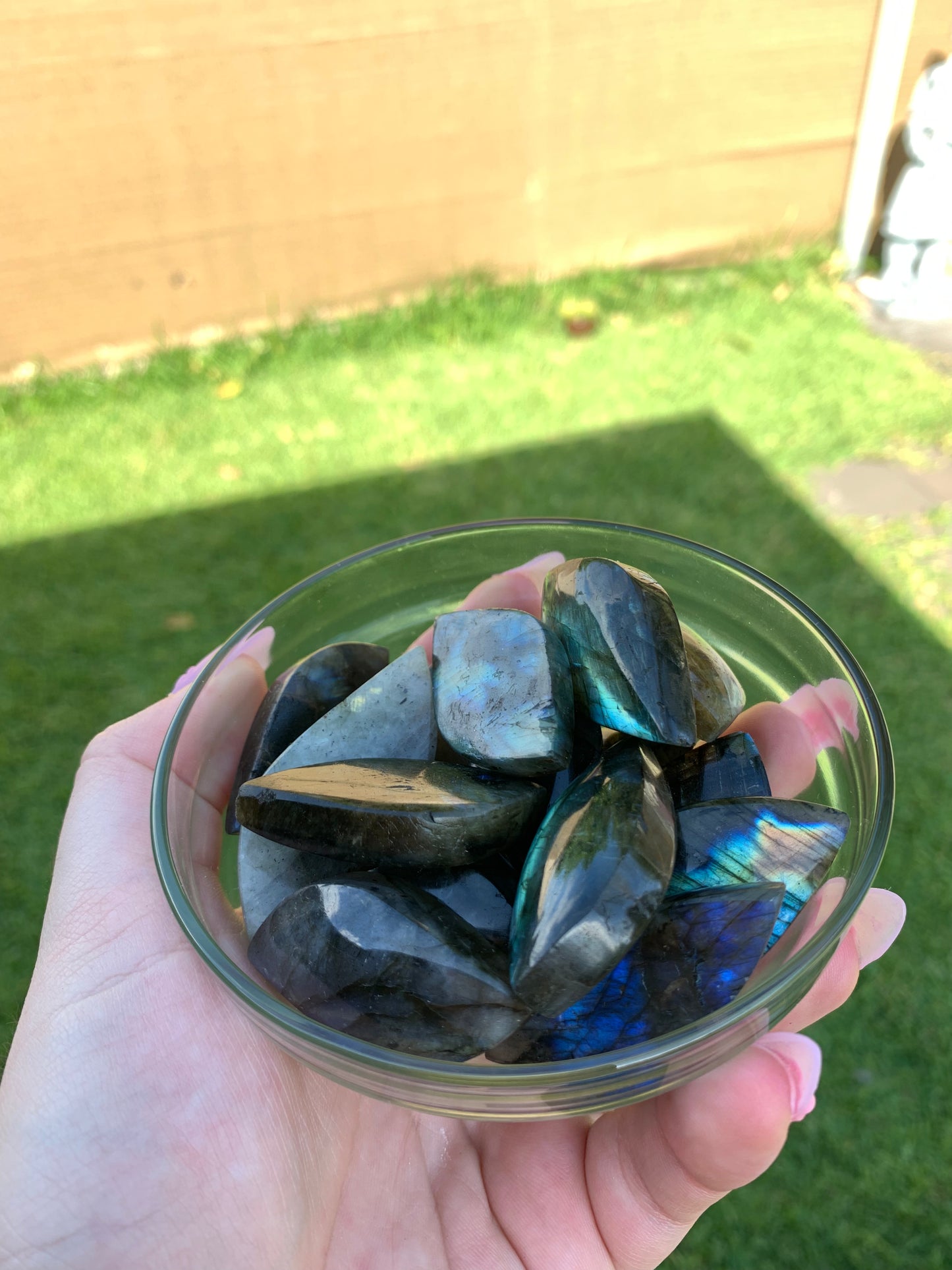 Labradorite Leaf