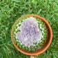 Grape Agate Specimen
