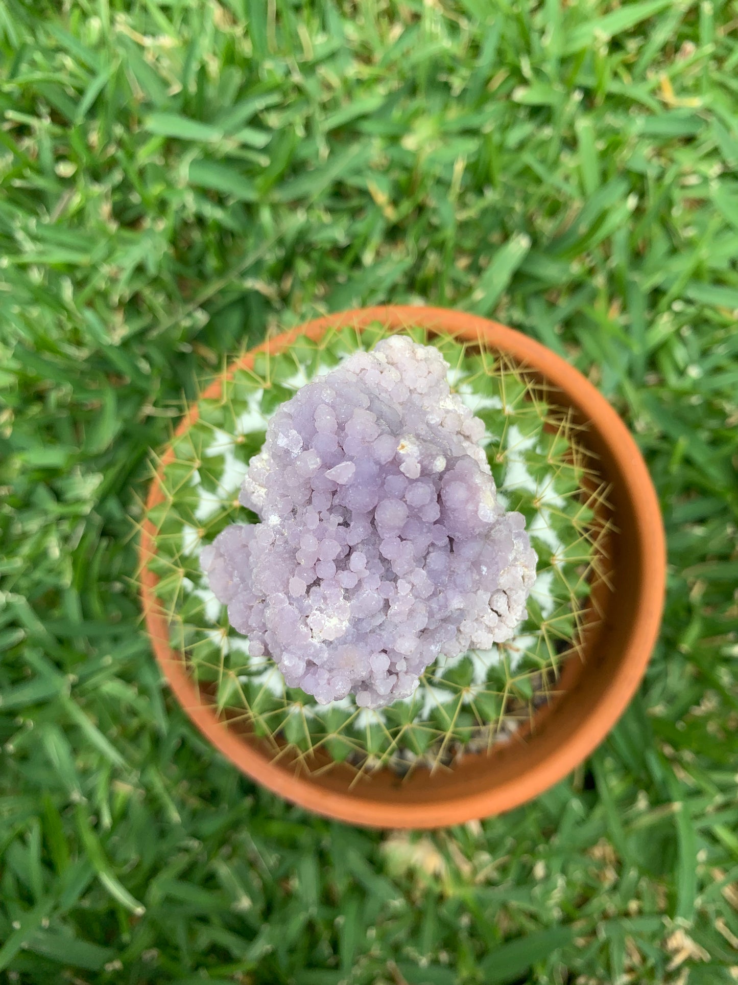 Grape Agate Specimen