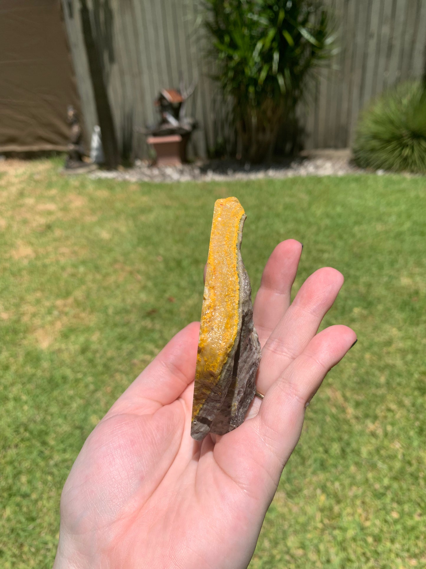 Bumblebee Jasper Slab