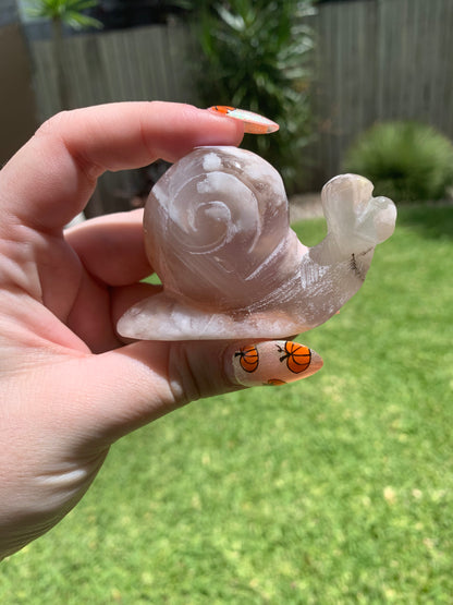 Flower Agate Snail