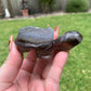 Druzy Agate Turtle