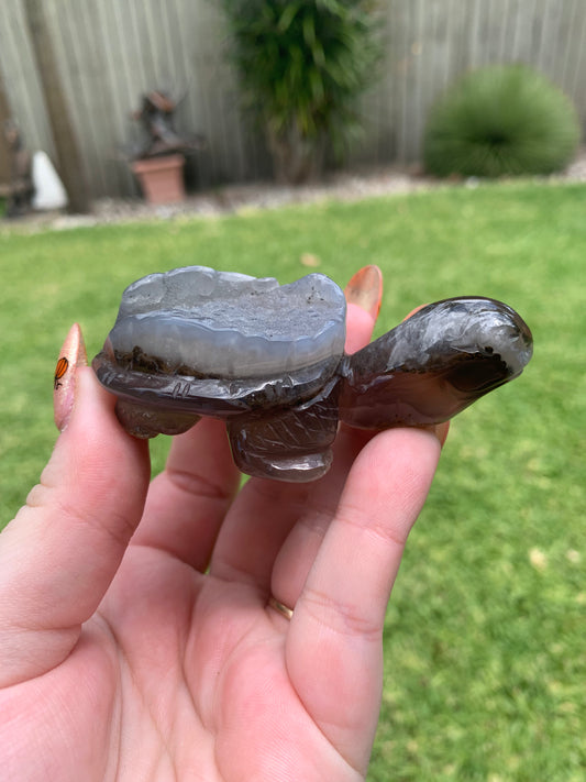 Druzy Agate Turtle