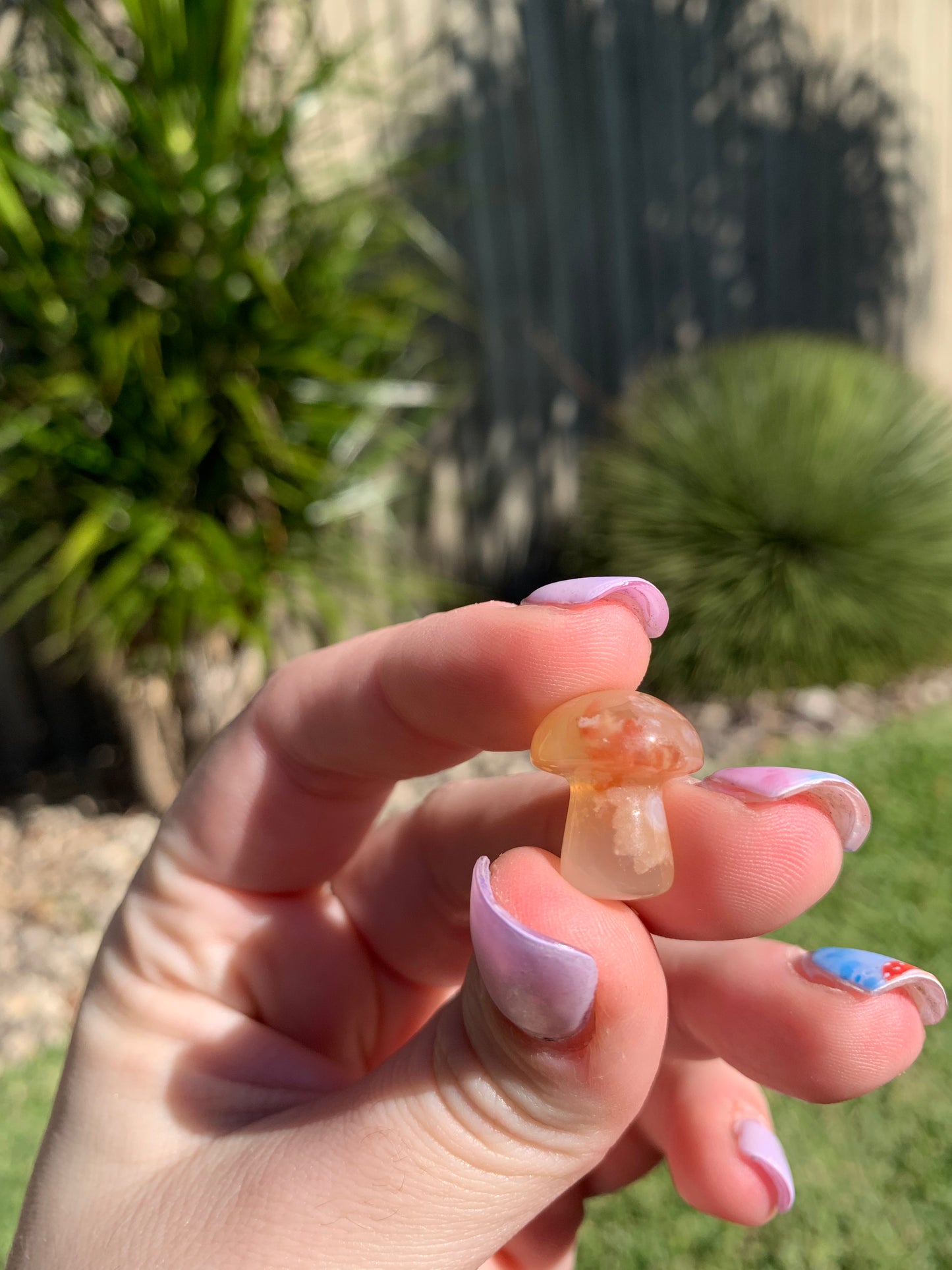 Mini Flower Agate Mushroom