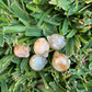 Mini Flower Agate Cat Head