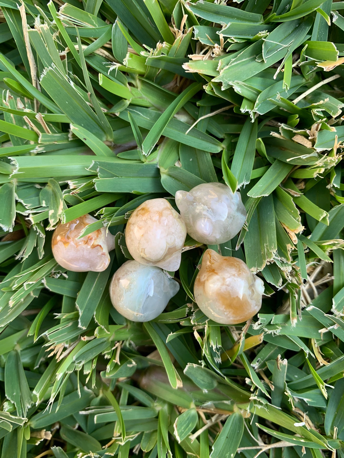 Mini Flower Agate Cat Head