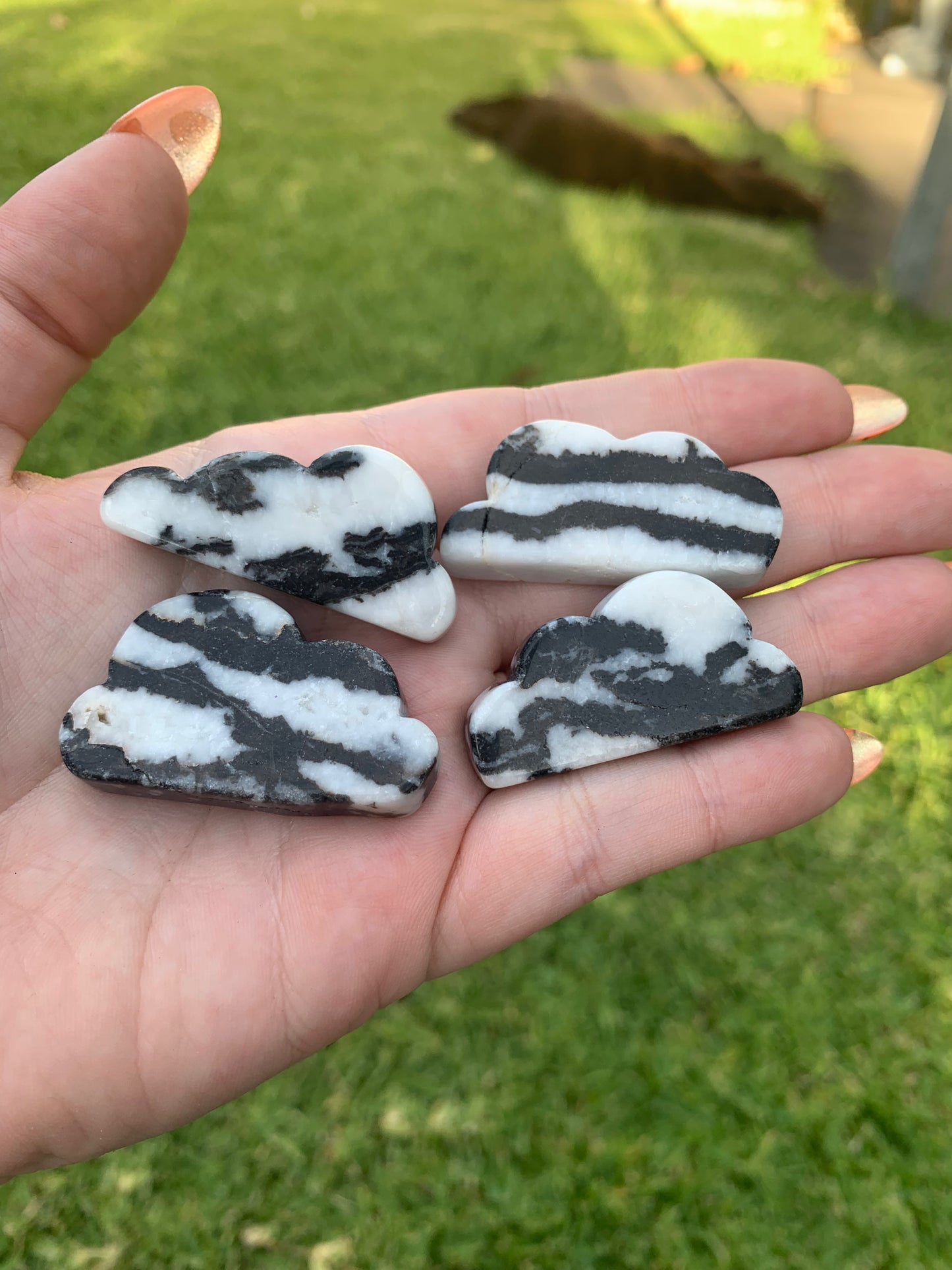 Zebra Jasper Cloud