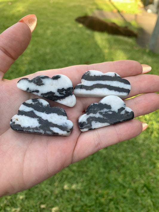 Zebra Jasper Cloud