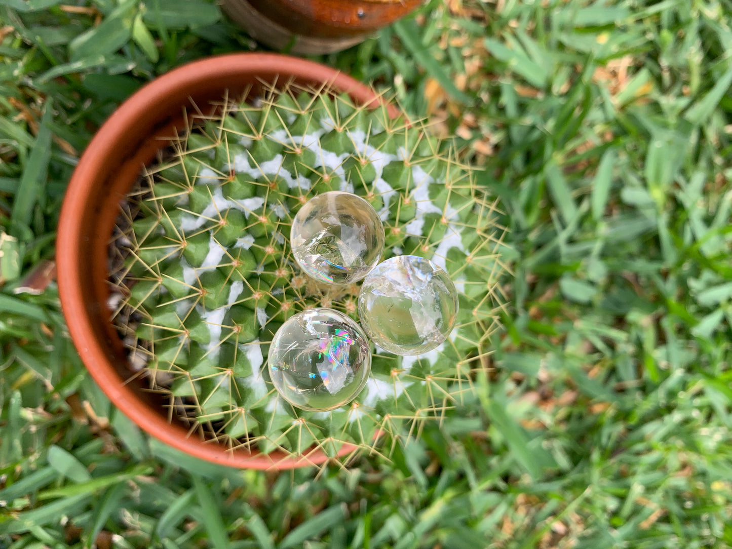 Mini Clear Quartz Sphere